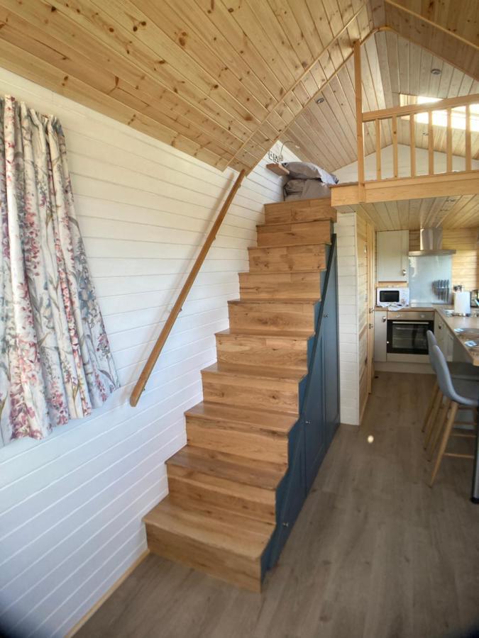 הוילה Coldingham The Cedar Tiny House מראה חיצוני תמונה