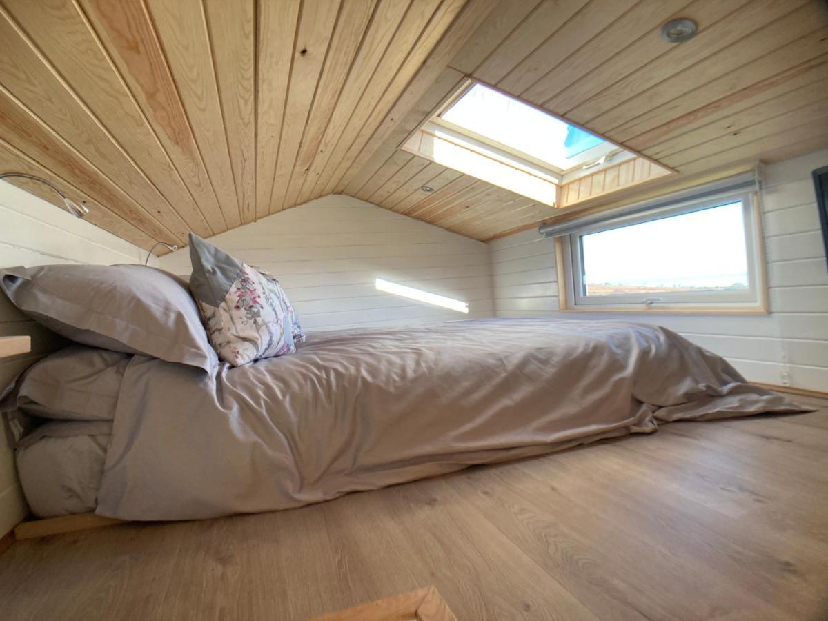 הוילה Coldingham The Cedar Tiny House מראה חיצוני תמונה